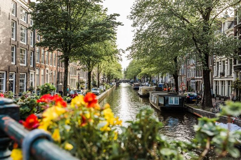 Amsterdam canal scene with historic homes, lush trees, and vibrant flowers under warm sunset light.