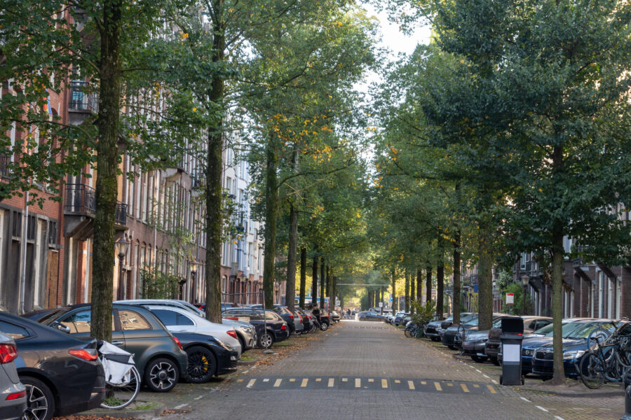 Street view of Oud Zuid, Amsterdam, showcasing car parking along historic buildings in a vibrant urban setting.