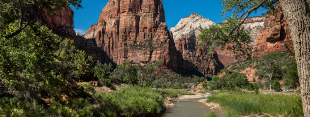 Scenic panorama of Angels Landing, featuring rugged rock formations and lush greenery in Zion National Park.