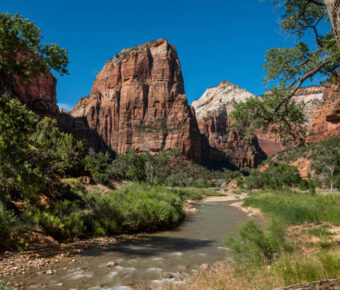Scenic panorama of Angels Landing, featuring rugged rock formations and lush greenery in Zion National Park.