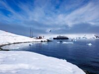 Antarctica Trip Cost
