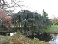 Arboretum of the Valley of Wolves