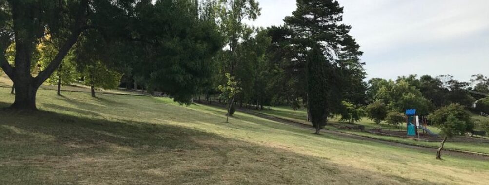 Arbour Park