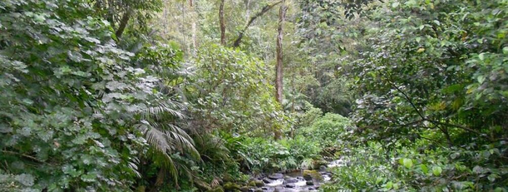 Reserva ecológica BENITO JUÁREZ