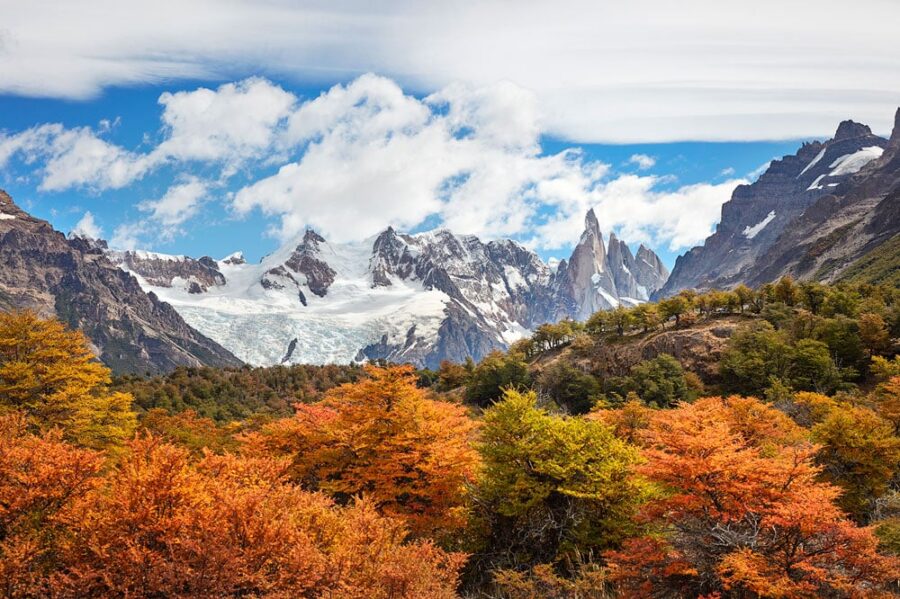 Autumn forest and snow-capped Patagonia mountains with glacier under blue sky and dramatic clouds.