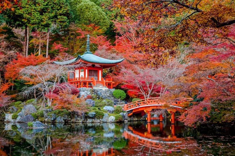 Japanese pagoda in autumn, with vibrant foliage, arched bridge, and reflective waters.