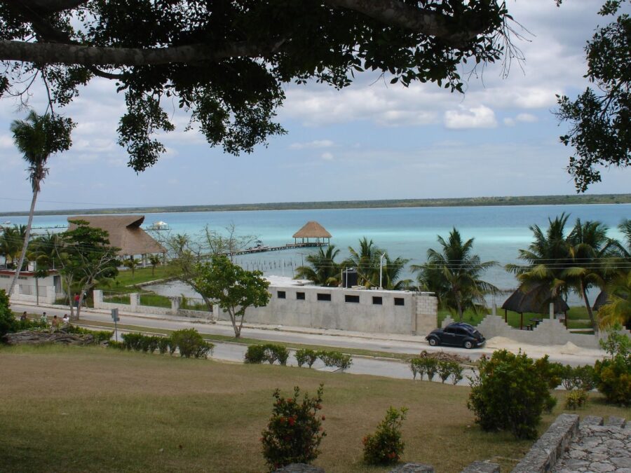 Large tree enhances the scenic view of Bacalar Lagoon in Quintana Roo, Mexico.