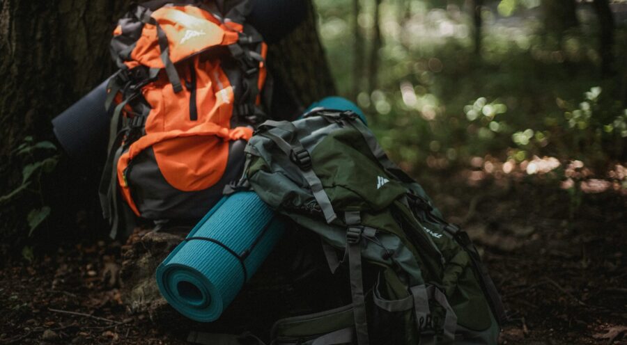 Camping backpacks and sleeping rolls in a sunlit forest, ready for adventure.