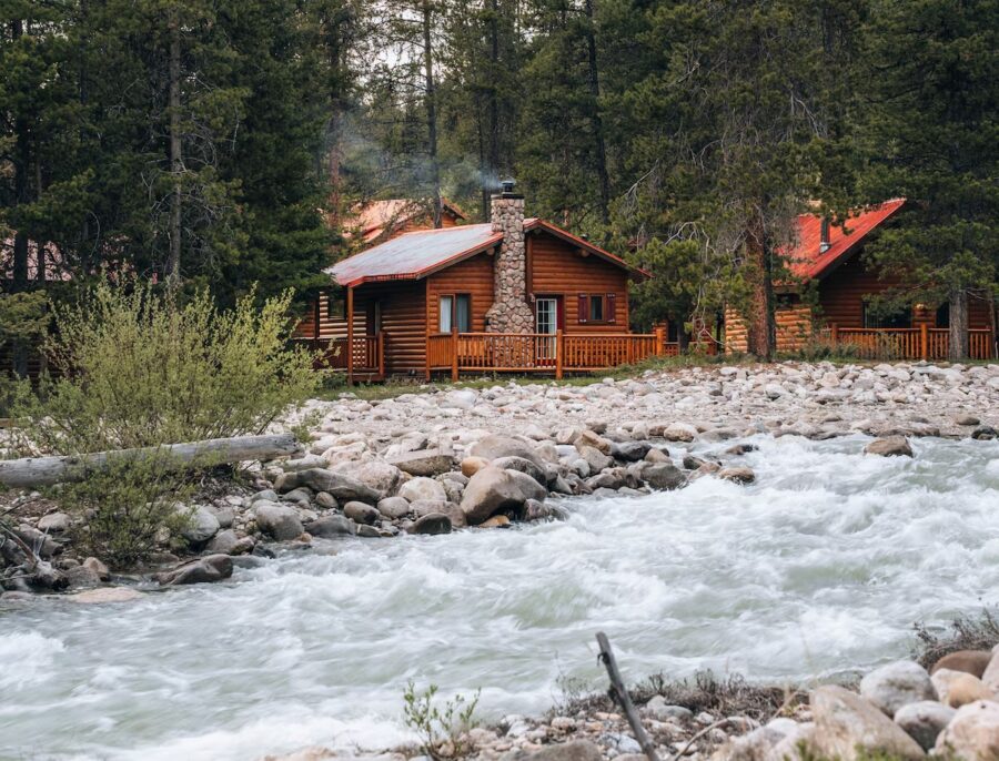 Baker Creek winds through a vibrant forest, highlighting the natural beauty of the area.
