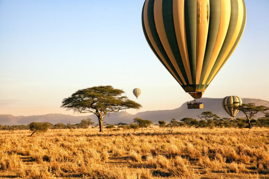 Serengeti sunrise with hot air balloons over savannah and acacia trees.