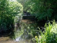 Batford Springs Nature Reserve