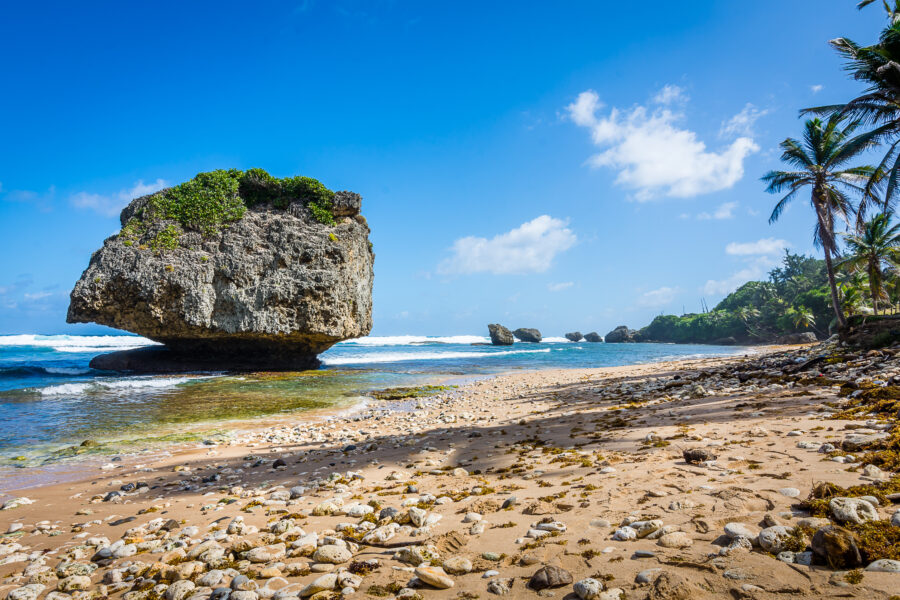 Bathsheba Beach in Barbados features rugged cliffs, crashing waves, and golden sands under a clear blue sky.
