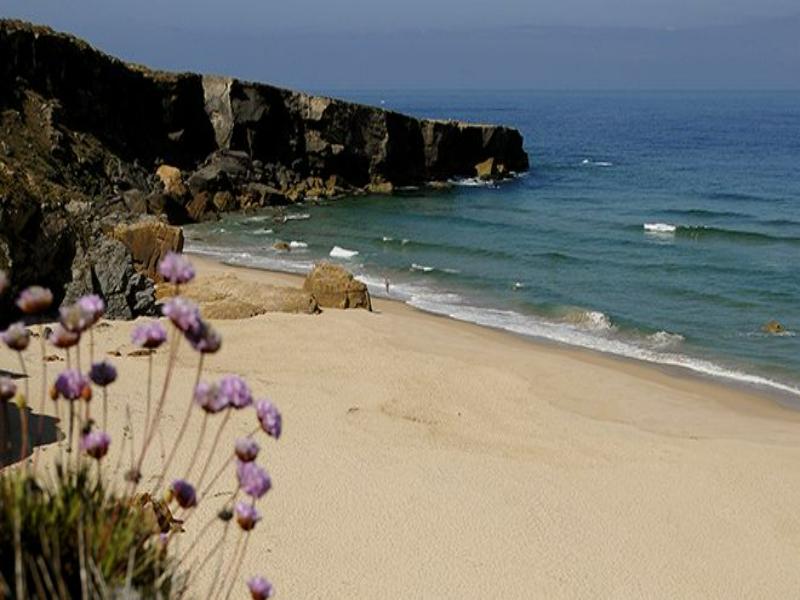 Praia do Malhão beach with wildflowers, sandy shore, ocean waves and dramatic cliff.