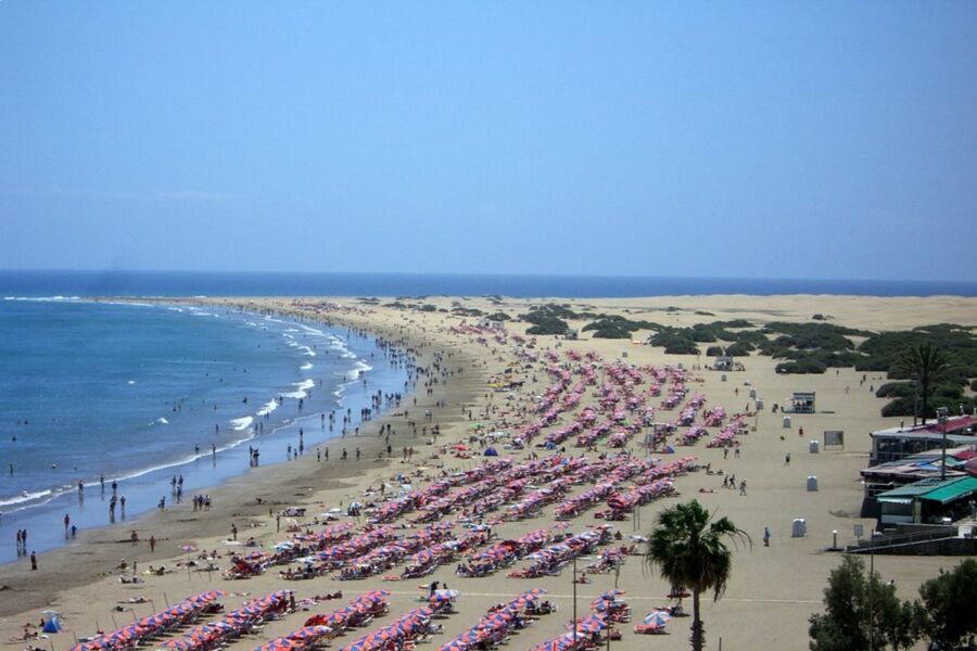 Sunny beach scene with loungers, umbrellas, blue ocean, and lush greenery.