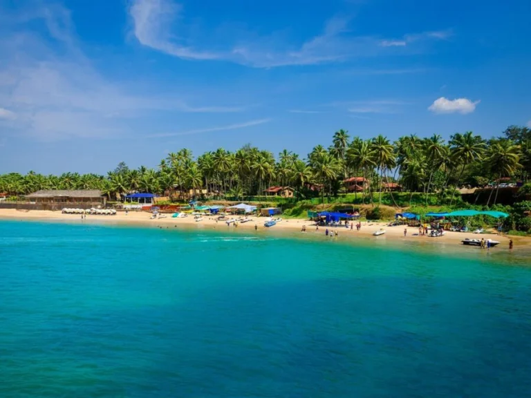 beach paradise scene