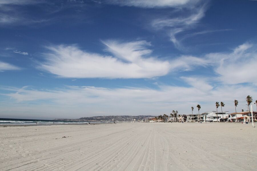 Tranquil coastal beach scene with palm trees, sandy shore, and ocean waves under blue skies.