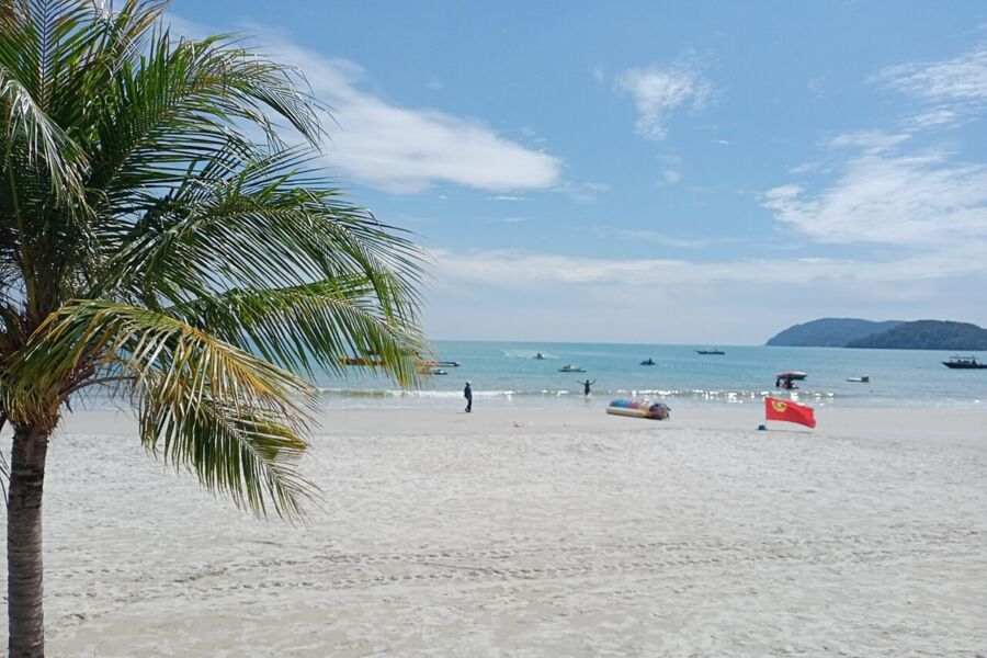 Serene beach with palm tree, clear sky, gentle waves, and distant boats.