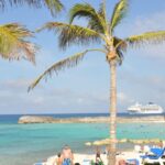 Tropical beach scene with palm trees, turquoise waters, and a cruise ship in the background.