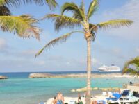 Tropical beach scene with palm trees, turquoise waters, and a cruise ship in the background.