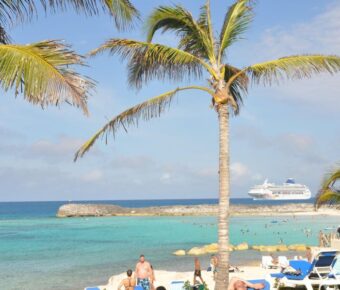 Tropical beach scene with palm trees, turquoise waters, and a cruise ship in the background.
