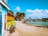 Meritt Thomas / Unsplash