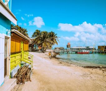 Meritt Thomas / Unsplash