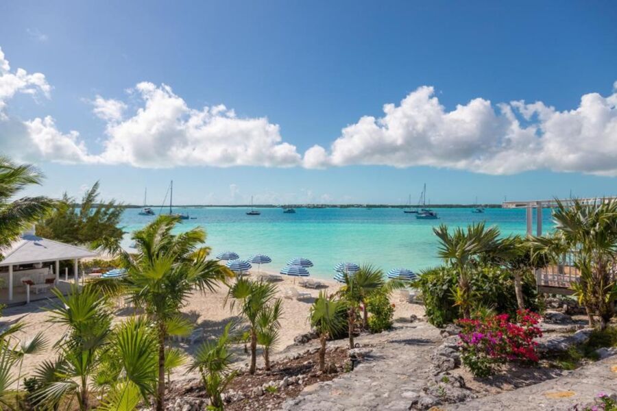 Serene tropical beach with palm trees, turquoise water, sun loungers, and a beachside café.