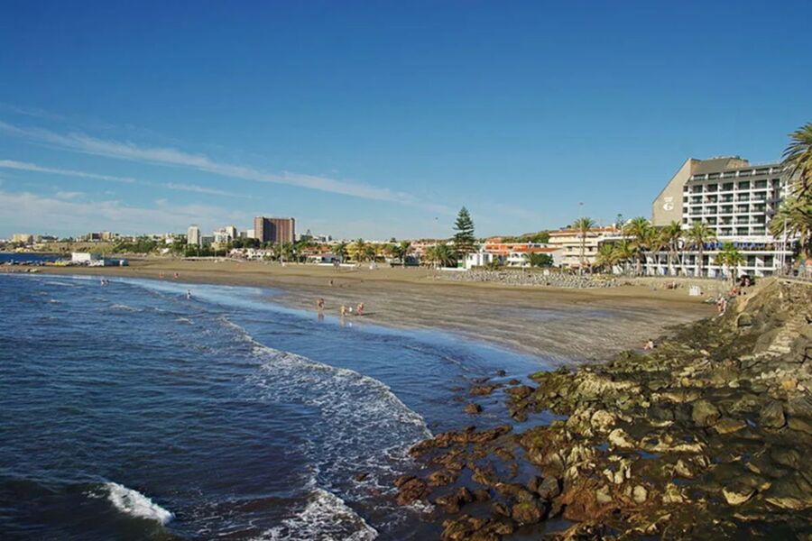 Beach scene with golden sands, azure water, palm-lined shore, and urban beachfront under sunny skies.