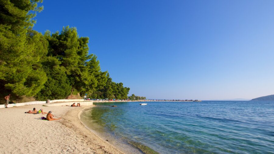 Summer beach scene with golden sands, clear sea, pine trees, sunbathers, and boat.