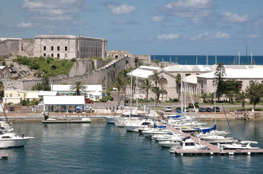 Sunny afternoon in Bermuda featuring a clear sky, lush palm trees, and colorful tropical flowers