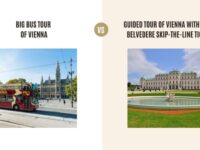 Big Bus Tour of Vienna vs Guided Tour of Vienna with Upper Belvedere Skip-The-Line Tickets: Which Tour Is Better?