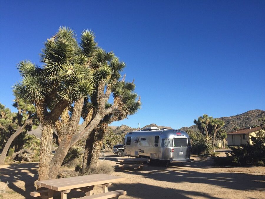 Camper at Black Rock Campground, California, nestled in the desert with trees and a picnic table nearby.