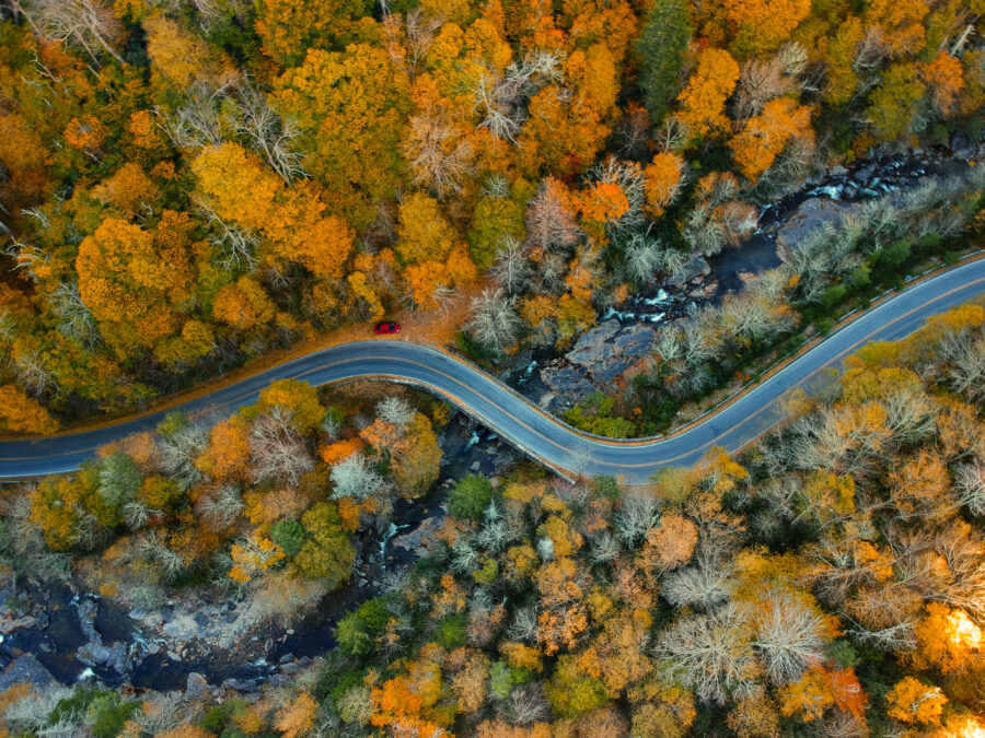 Aerial view of vibrant autumn foliage in the Blue Ridge Mountains, showcasing red, yellow, and orange leaves along a winding road.