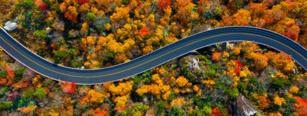 Aerial view of the Blue Ridge Parkway in North Carolina, showcasing vibrant fall colors along the winding road.
