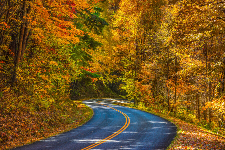 Scenic view of the Blue Ridge Parkway near Asheville, North Carolina, showcasing lush mountains and vibrant fall foliage.