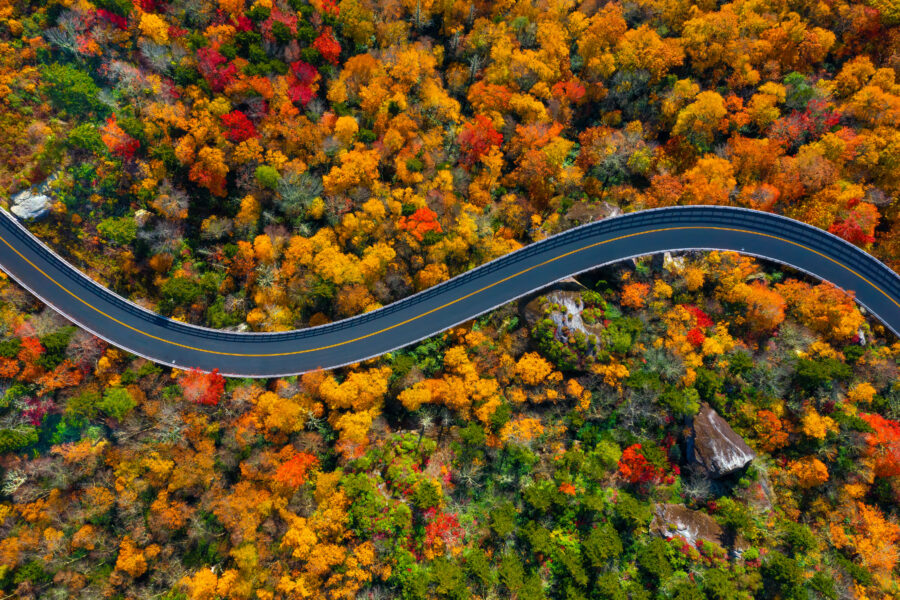 Aerial view of the Blue Ridge Parkway in North Carolina, showcasing vibrant fall colors along the winding road.
