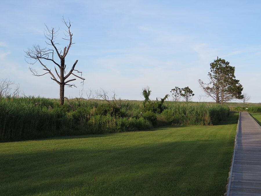 Wooden boardwalk transitions into a grassy field, with the Bodie Island Lighthouse standing tall nearby.