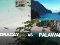 Boracay vs Palawan: Stunning Differences to Know Before Your Philippine Island Escape