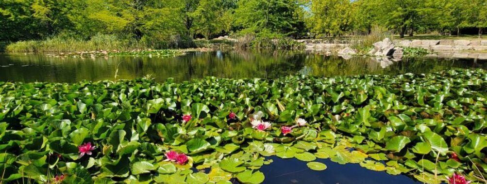 Botanical Garden University of Talca
