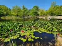 Botanical Garden University of Talca