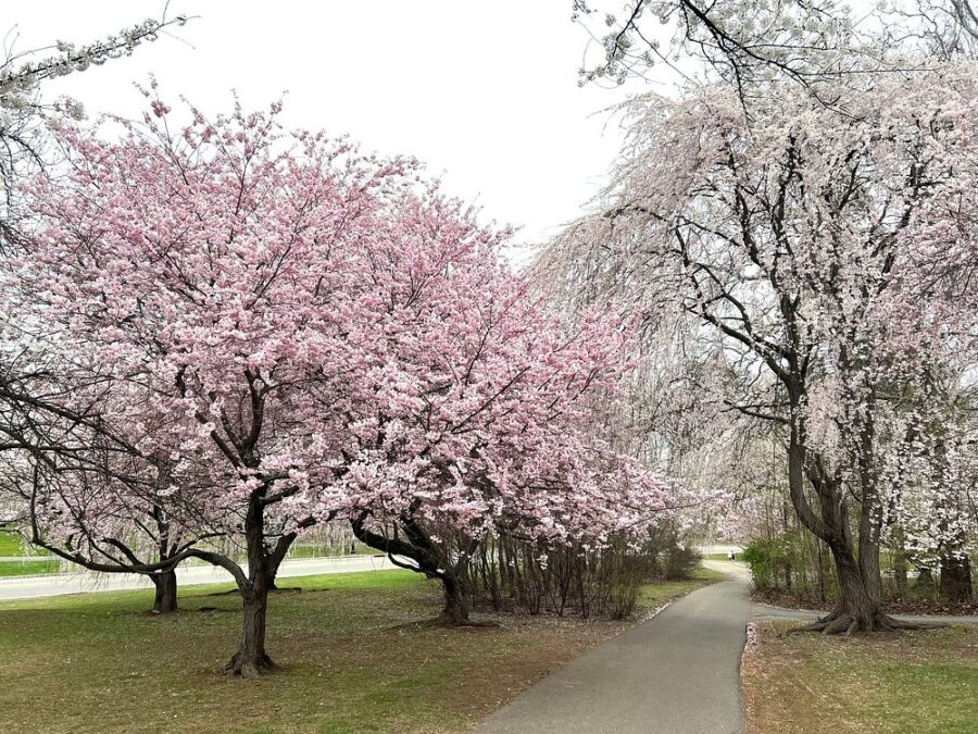 Branch Brook Park