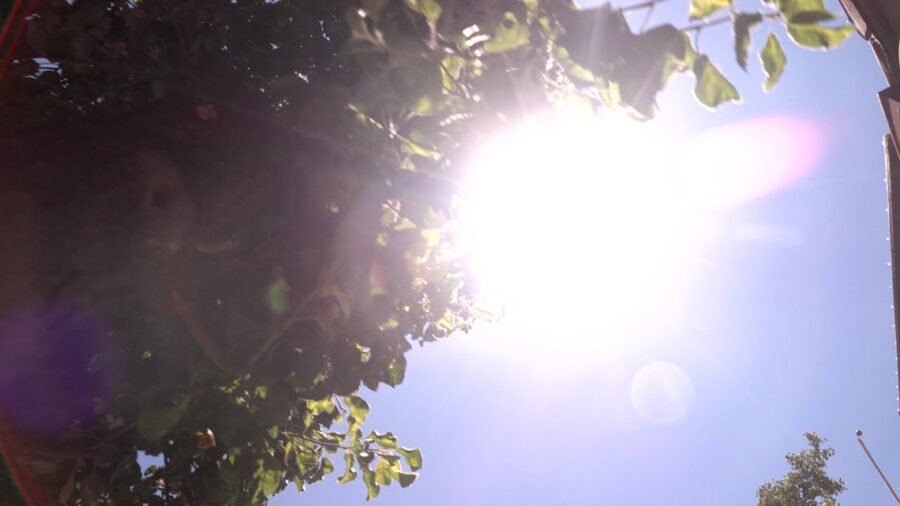 Heatwave-Related Cancellations