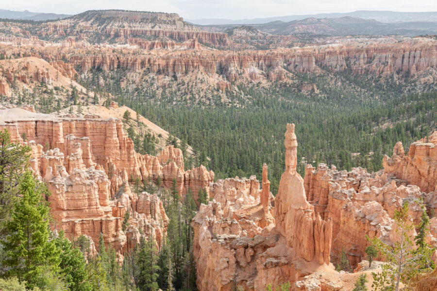 Unique hoodoo rock formations tower in Bryce Canyon National Park, Utah