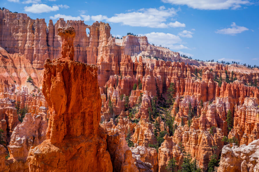 Scenic view of Bryce Canyon National Park, featuring green pine trees on rocky slopes and a stunning canyon