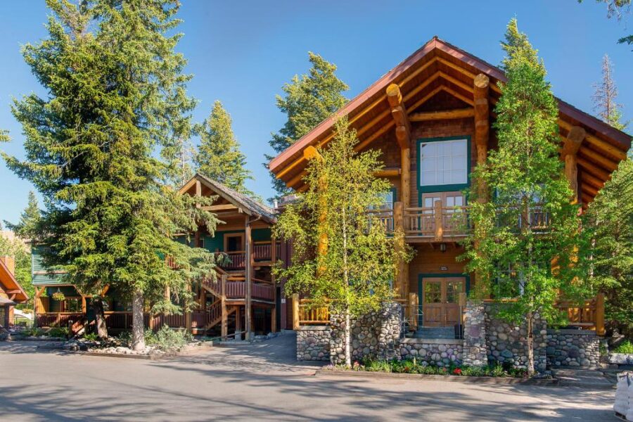 Buffalo Mountain Lodge in Canada features a spacious log home surrounded by lush trees.