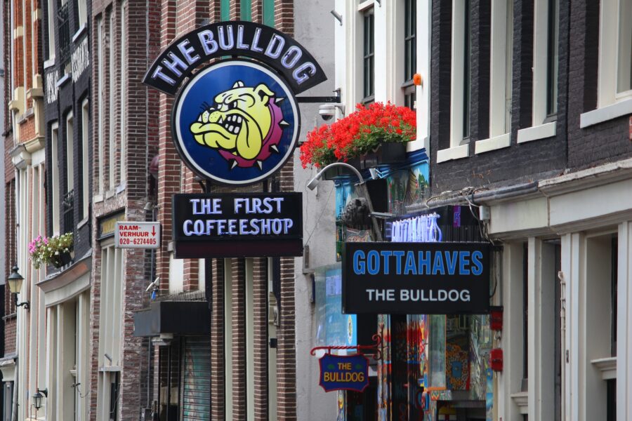 Narrow street in Amsterdam with buildings featuring colorful signs for "The Bulldog," a vibrant coffee shop. Red flowers add a lively touch.