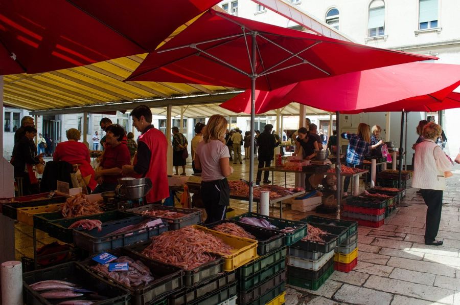 Split's Seafood and Markets