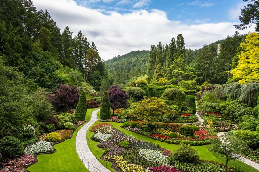 cenic view of Butchart Gardens in Victoria, Canada, featuring a winding path surrounded by vibrant flowers.