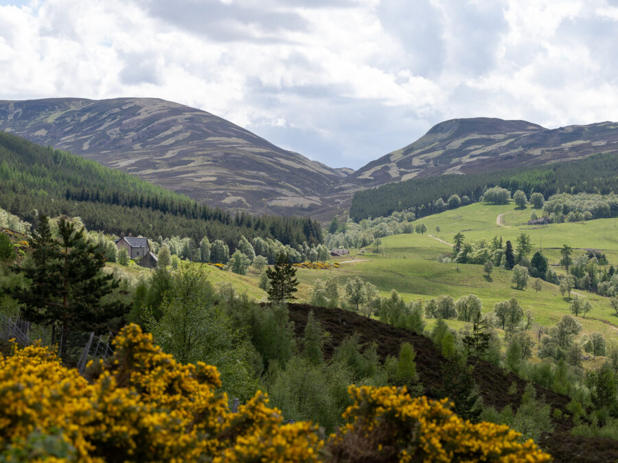 Scenic view of Cairngorms National Park in Scotland, showcasing rolling hills, lush forests, and distant mountain peaks