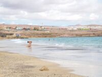 Tranquil coastal city beach with golden sand, gentle waves, cloudy sky, and distant seaside buildings.